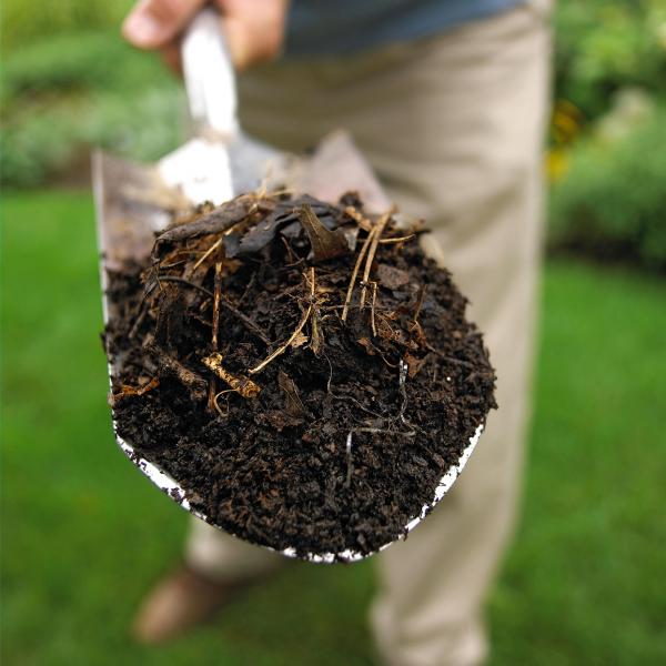 Image for event: You Can Compost!